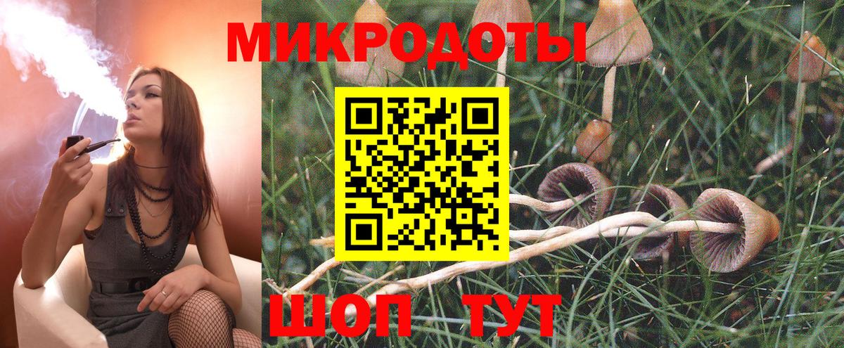 Галлюциногенные грибы MAGIC MUSHROOMS Зима