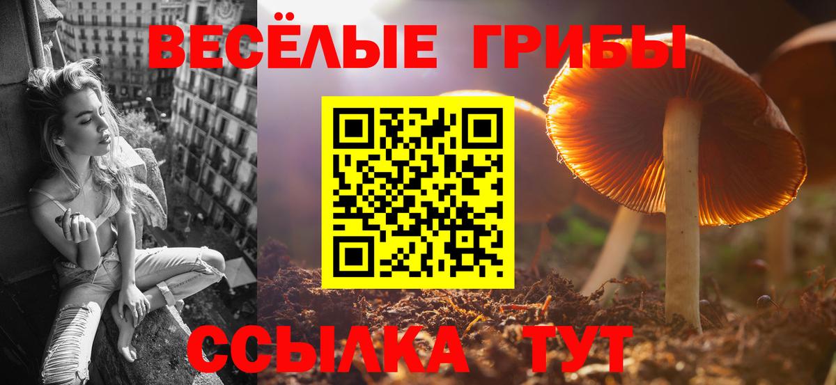 Псилоцибиновые грибы ЛСД  Псилоцибиновые грибы ЛСД  Вход с VPN  Зима 